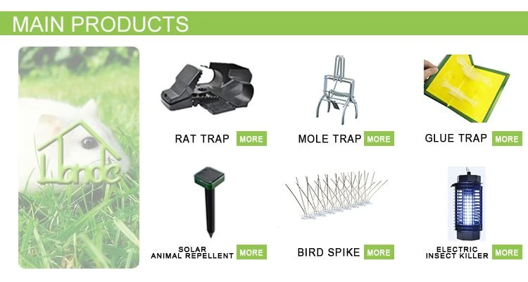 Rat Trap Rat Trap